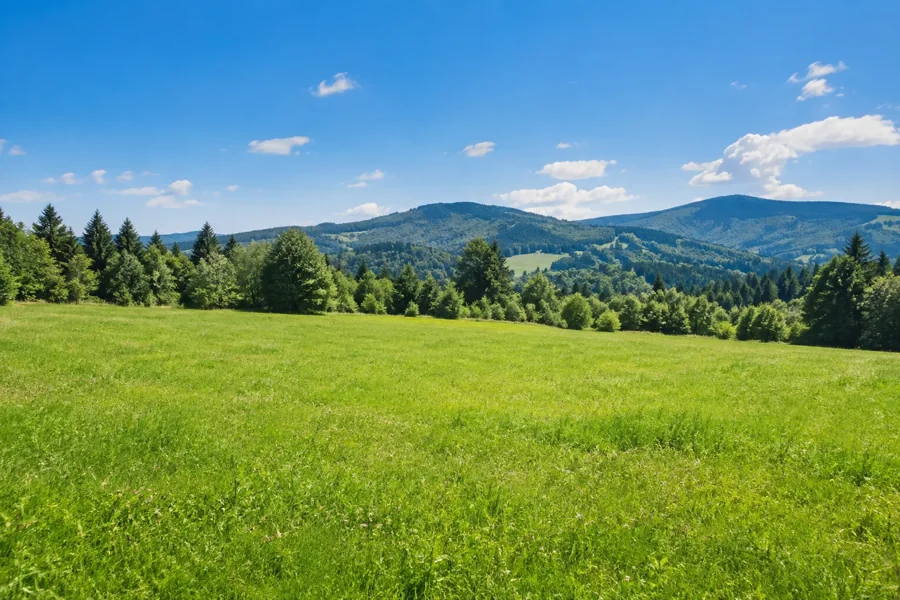 Pozemky