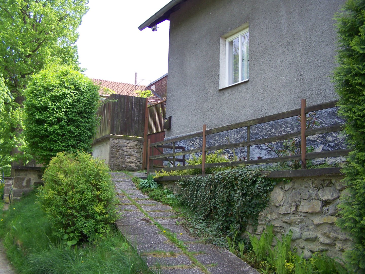 Foto 1