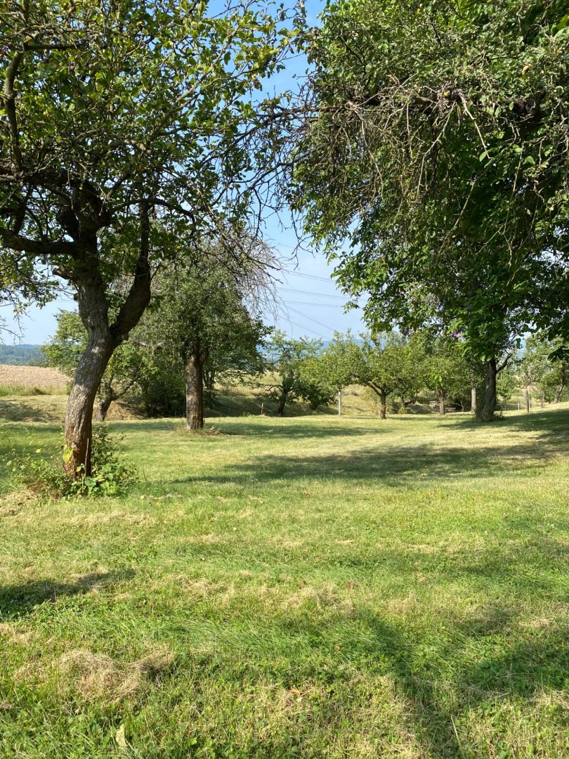 Klidný pozemek 3 359 m² na polosamotě u Petrovic — foto 1