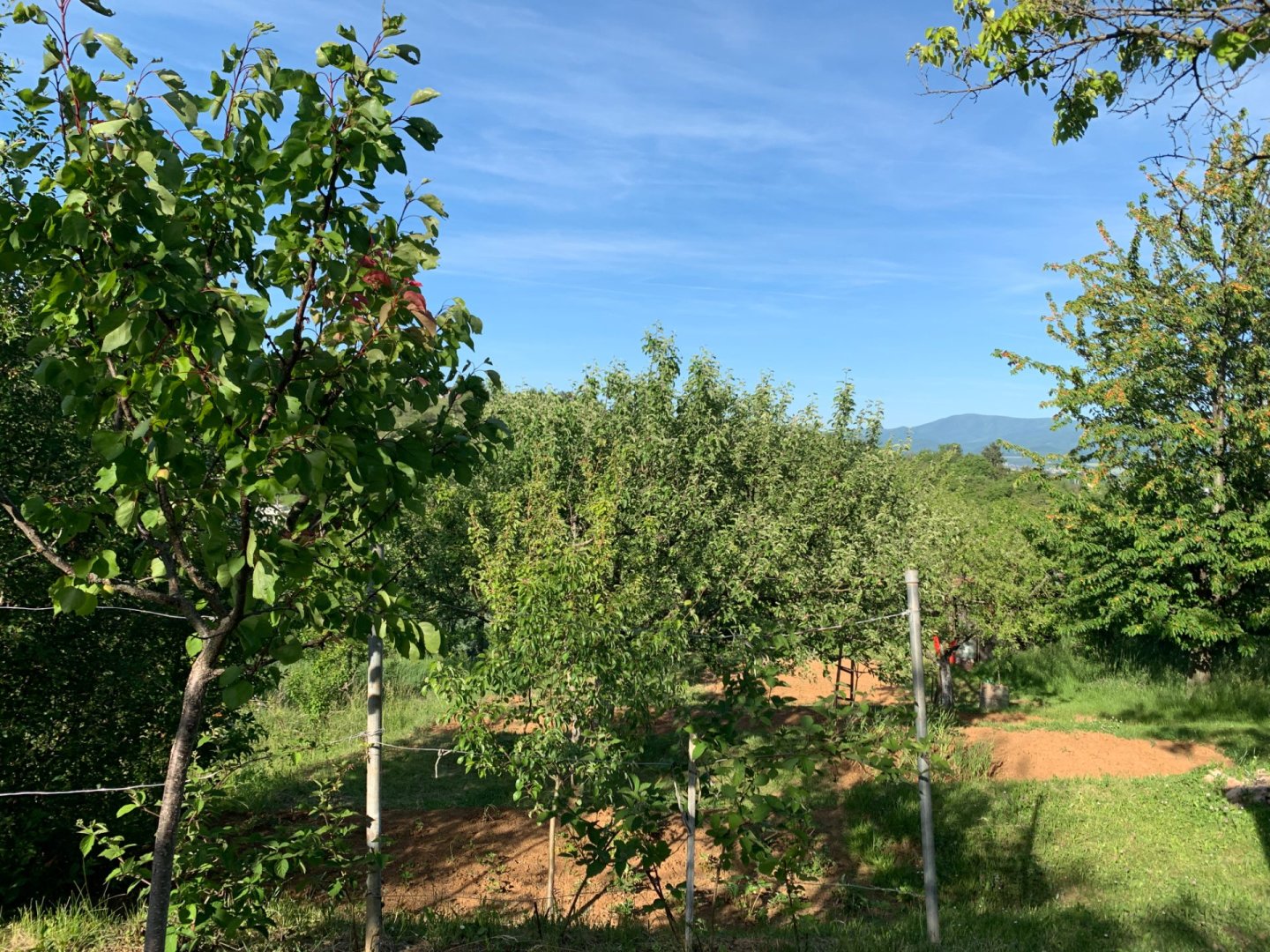 Na predaj záhrada 488 m² – Nové Mesto nad Váhom, nad Kačabárom — foto 1