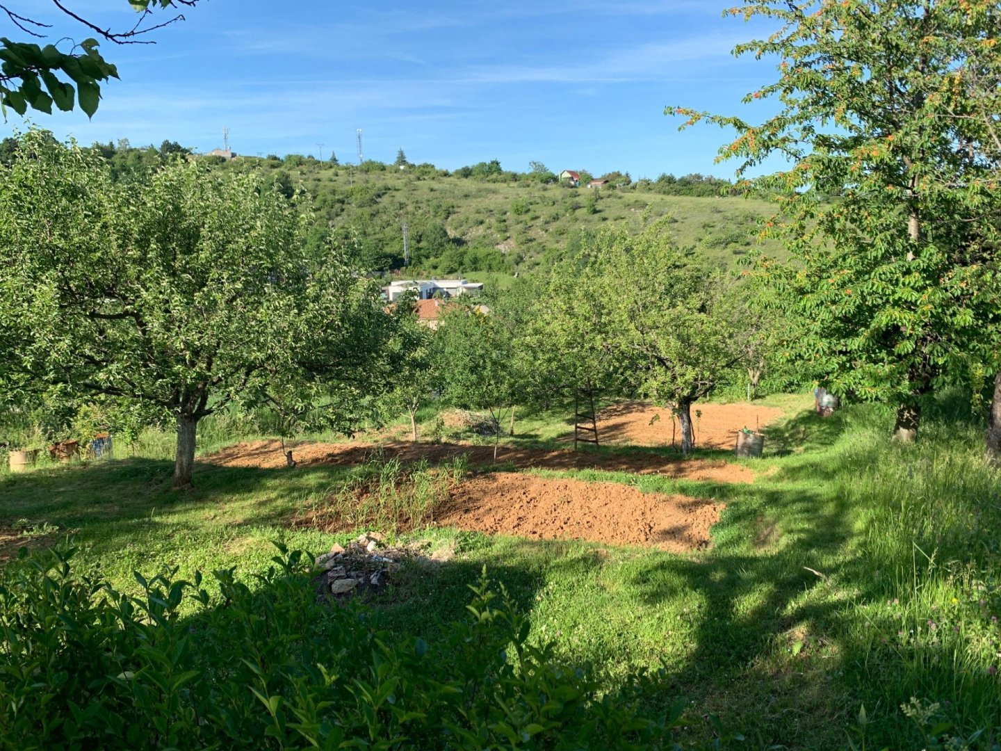 Na predaj záhrada 488 m² – Nové Mesto nad Váhom, nad Kačabárom — foto 3