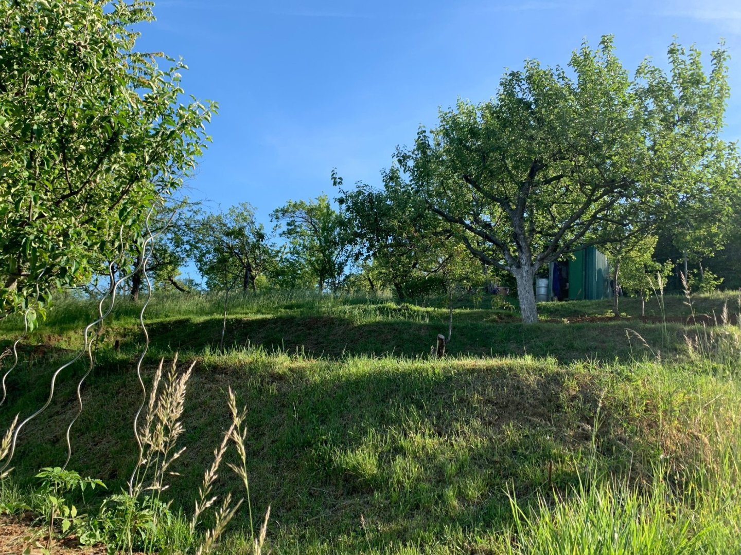 Na predaj záhrada 488 m² – Nové Mesto nad Váhom, nad Kačabárom — foto 5