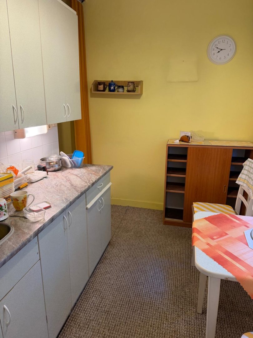 Prodej bytu 3+1 v osobním vlastnictví, 54 m², Opava, ul. M. Horákové — foto 8