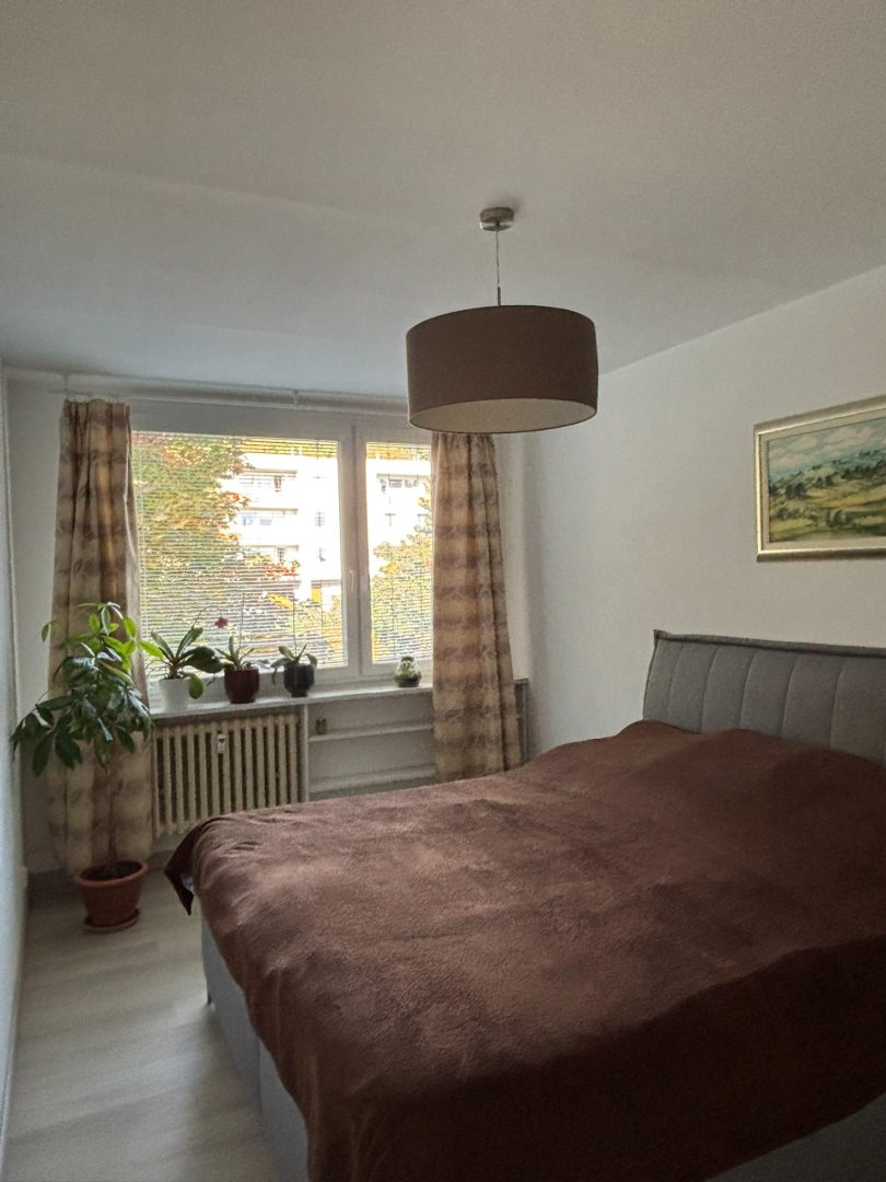 Prodej bytu 3+1 (72,2 m²) s lodžií a sklepem na Hřebenkách  — foto 13