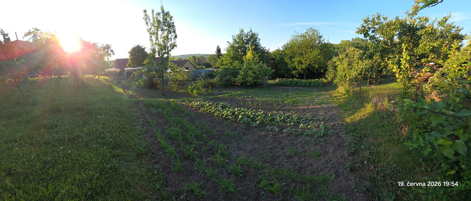 Stavební pozemek - Borkovany (Dříve zahrada) - 799m² — foto 4