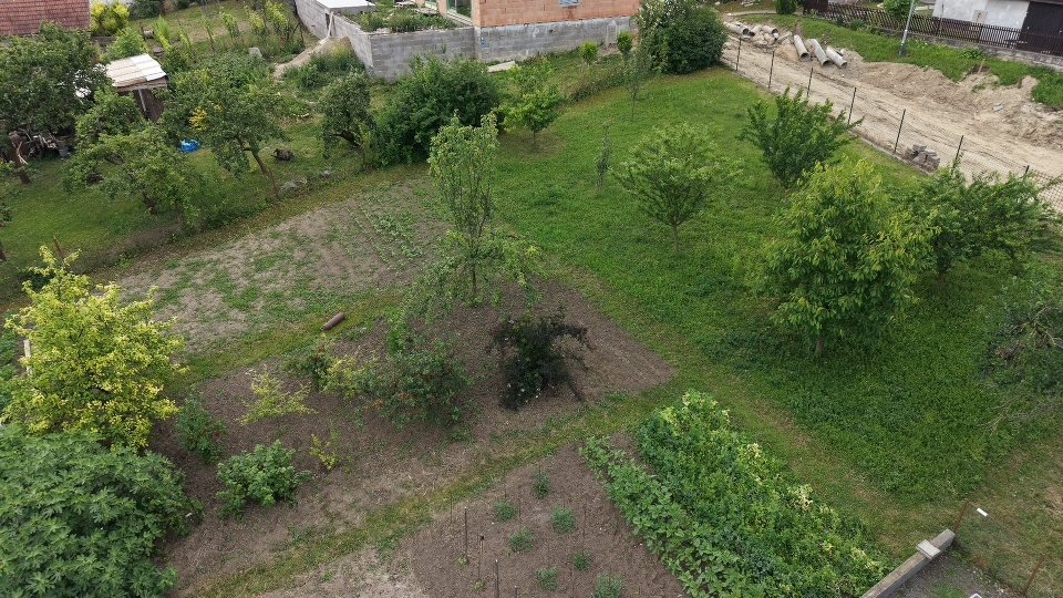 Stavební pozemek - Borkovany (Dříve zahrada) - 799m² — foto 9