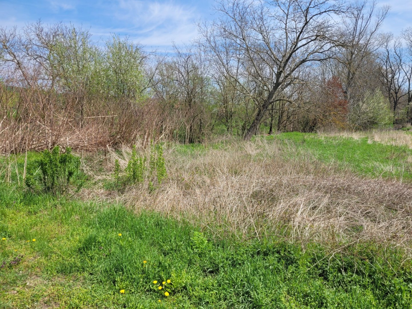 Pozemok s inžinierskymi sieťami a prístupovou cestou v obci Dubovce (900 m²) — foto 6