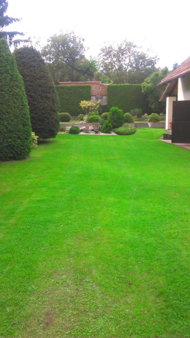 Prodej domu v Třebovli, pozemek 709 m², zastavěná plocha 156 m² — foto 6