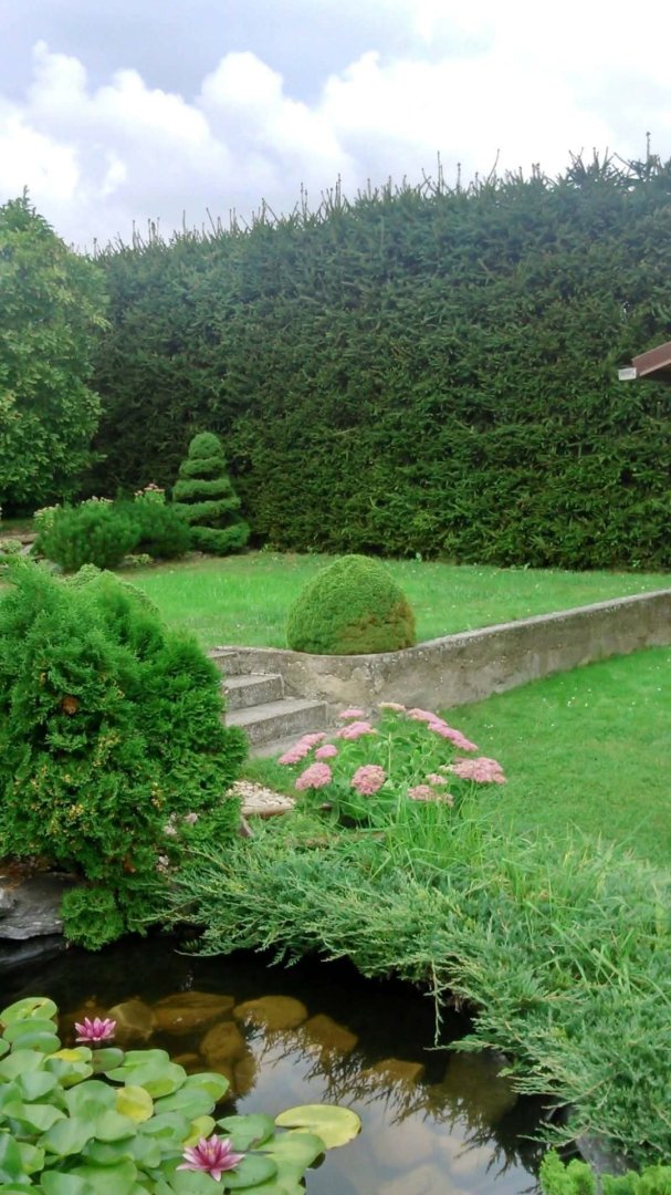 Prodej domu v Třebovli, pozemek 709 m², zastavěná plocha 156 m² — foto 7