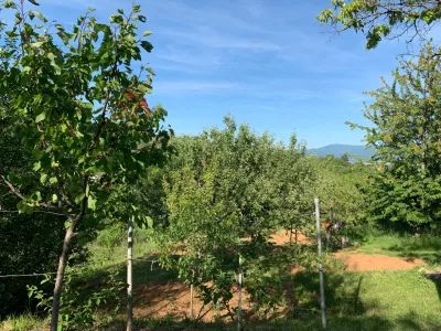 Na predaj záhrada 488 m² – Nové Mesto nad Váhom, nad Kačabárom