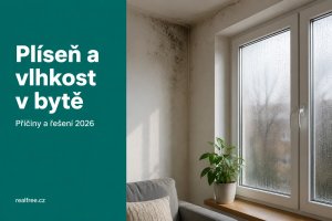 Pleseň a vlhkosť v byte 2026: príčiny, riešenia a kto to platí