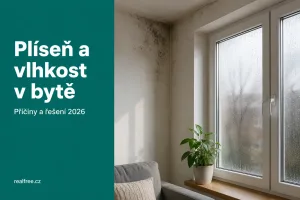 Pleseň a vlhkosť v byte 2026: príčiny, riešenia a kto to platí