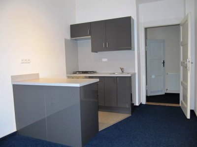 Světlý nezařízený prostor 3+kk (70m2) s výhledem do zahrady